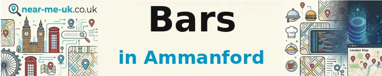 Bars in Ammanford