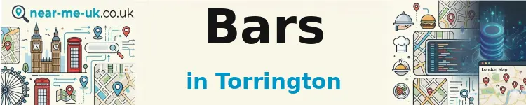 Bars in Torrington