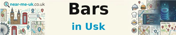 Bars in Usk