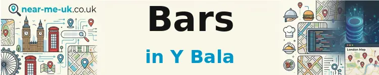 Bars in Y Bala