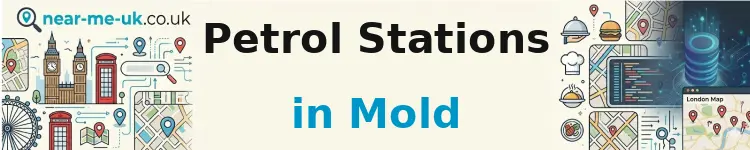 Petrol Stations in Mold