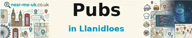 Pubs in Llanidloes