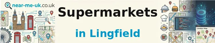 Supermarkets in Lingfield